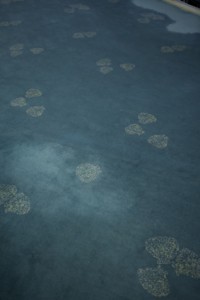 http://www.peterwaterschoot.com/files/gimgs/th-13_th-18_4 muur 1, 70 cm Carpet Cl kopie_v3.jpg